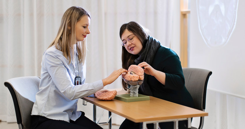 Two women looking at a model of the brain. Photo.