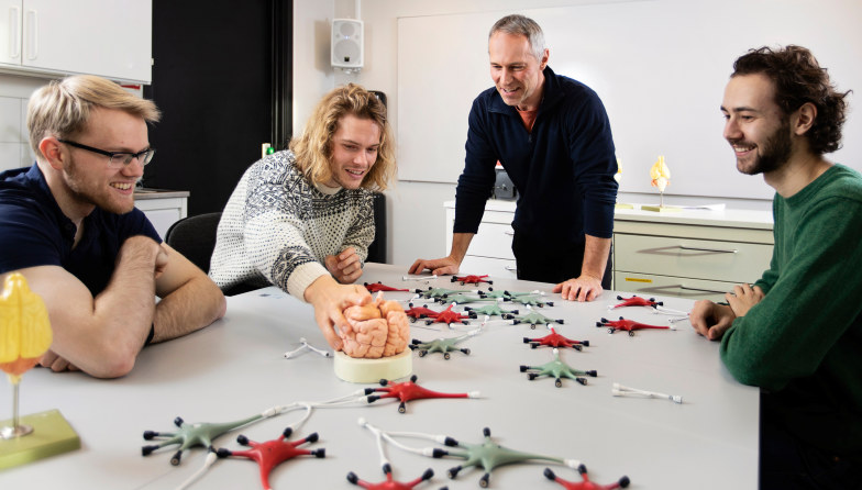 Tre studenter og en forsker studerer modell av en hjerne og titter på modeller av nevroner. Foto
