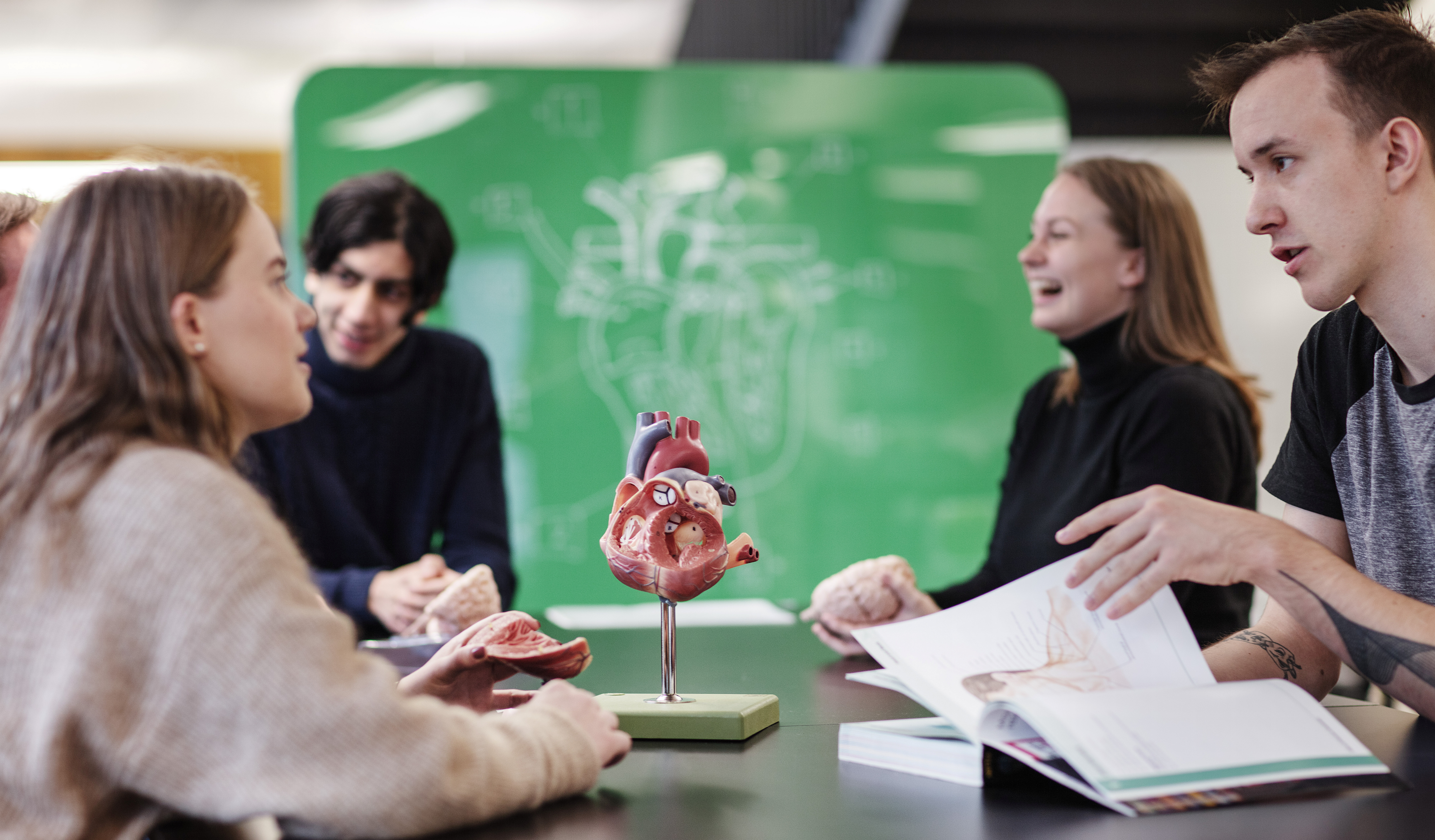 Studenter med anatomisk modell av hjerte