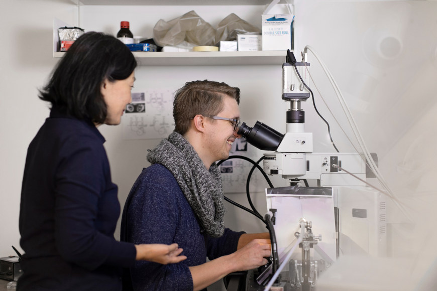 Employees sitting next to a microscope. Photo.